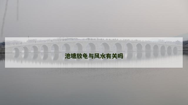 池塘放龟与风水有关吗