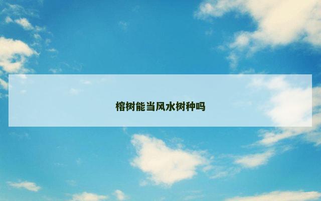 榕树能当风水树种吗