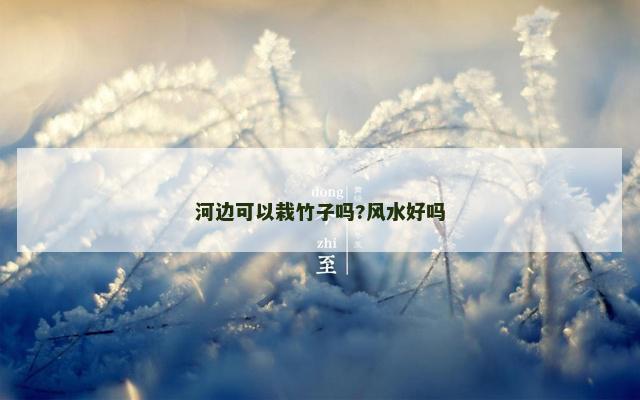 河边可以栽竹子吗?风水好吗