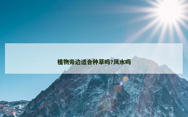 植物旁边适合种草吗?风水吗