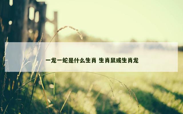 一龙一蛇是什么生肖 生肖鼠或生肖龙