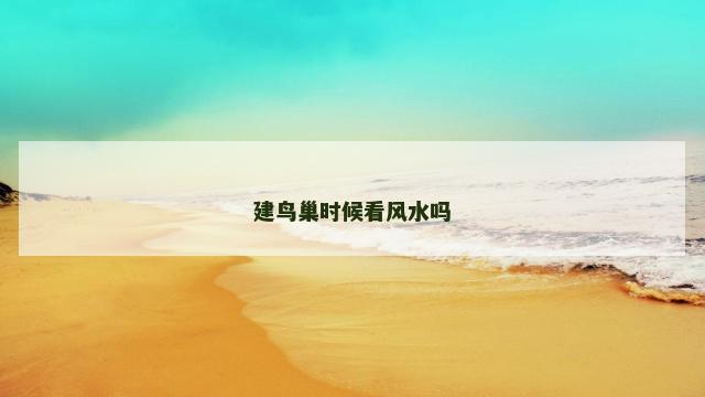 建鸟巢时候看风水吗