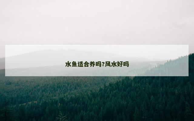 水鱼适合养吗?风水好吗