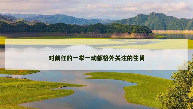 对前任的一举一动都格外关注的生肖