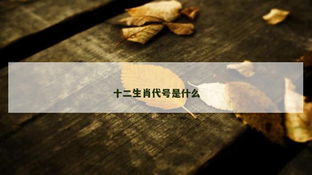 十二生肖代号是什么