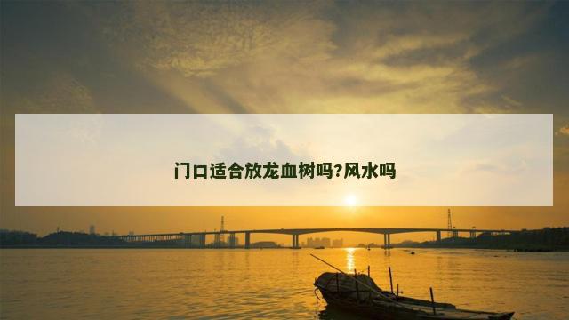门口适合放龙血树吗?风水吗