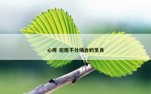 心疼 犯傻不分场合的生肖