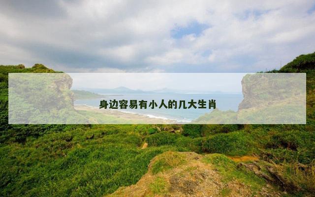 身边容易有小人的几大生肖