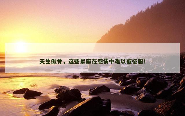 天生傲骨，这些星座在感情中难以被征服！