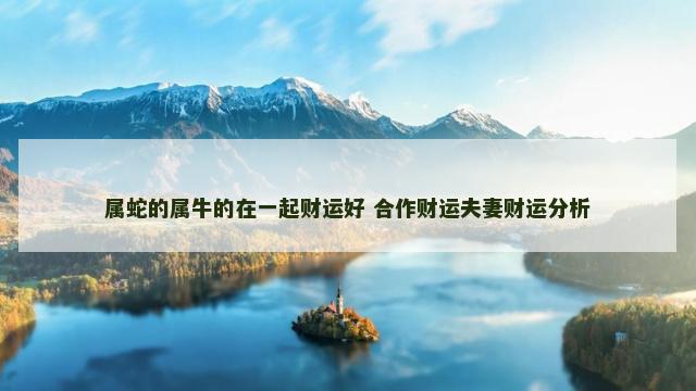 属蛇的属牛的在一起财运好 合作财运夫妻财运分析