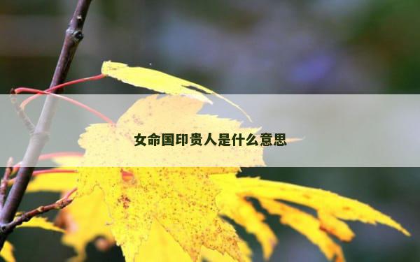 女命国印贵人是什么意思