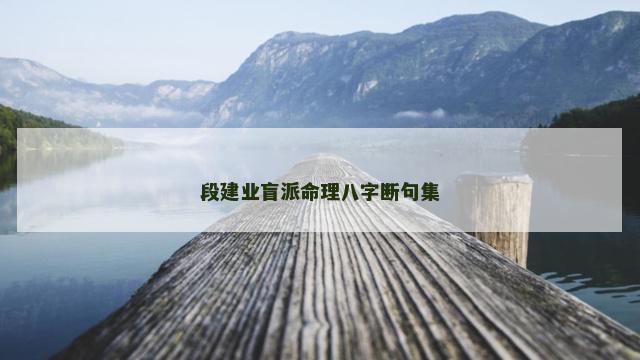 段建业盲派命理八字断句集