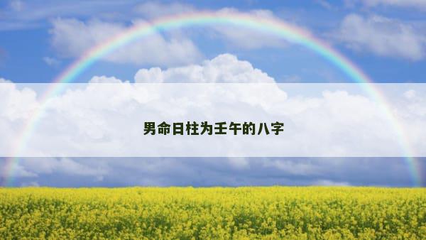 男命日柱为壬午的八字
