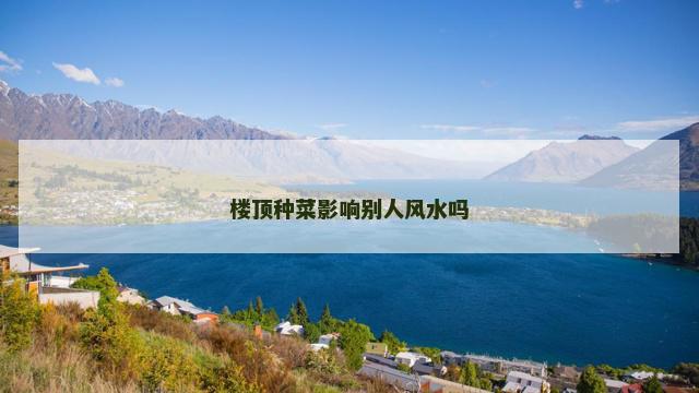 楼顶种菜影响别人风水吗
