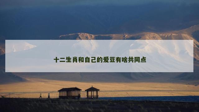 十二生肖和自己的爱豆有啥共同点