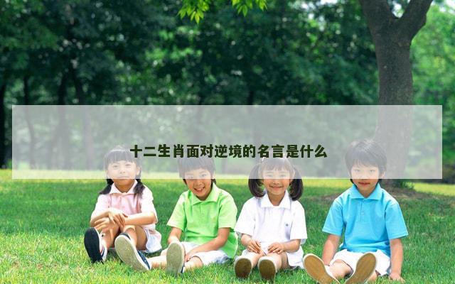 十二生肖面对逆境的名言是什么