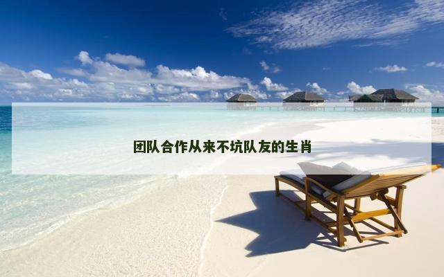 团队合作从来不坑队友的生肖