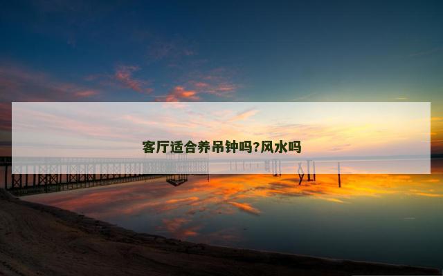 客厅适合养吊钟吗?风水吗