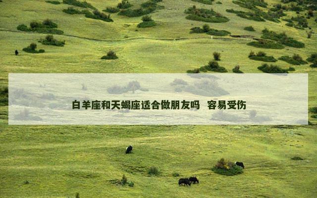 白羊座和天蝎座适合做朋友吗  容易受伤