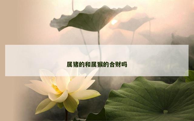 属猪的和属猴的合财吗