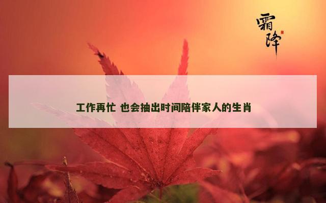 工作再忙 也会抽出时间陪伴家人的生肖