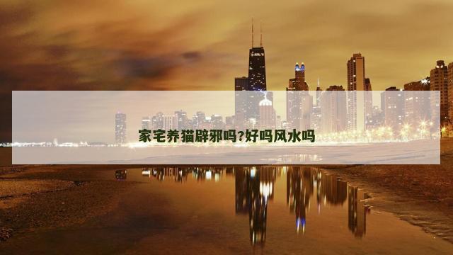 家宅养猫辟邪吗?好吗风水吗