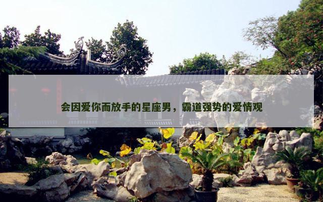 会因爱你而放手的星座男，霸道强势的爱情观