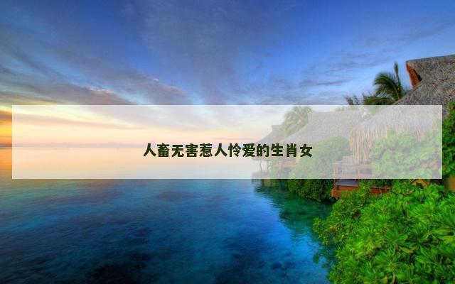 人畜无害惹人怜爱的生肖女