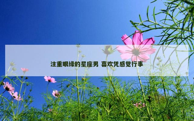 注重眼缘的星座男 喜欢凭感觉行事