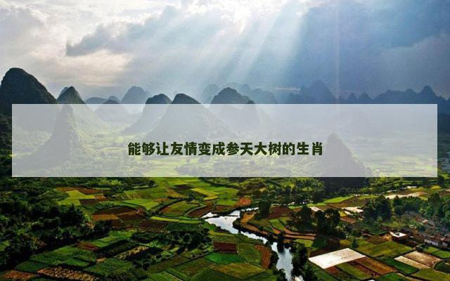 能够让友情变成参天大树的生肖