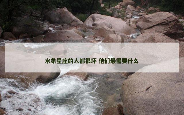 水象星座的人都很坏 他们最需要什么