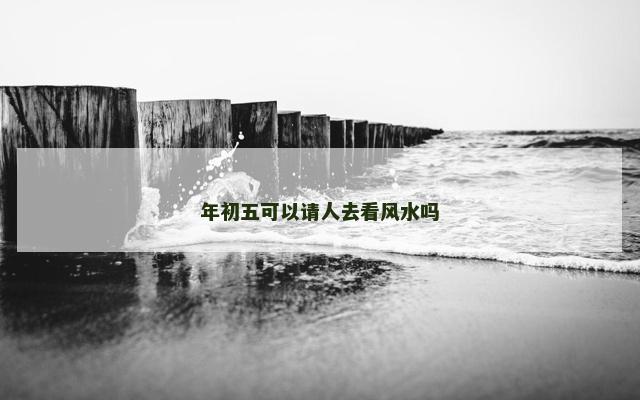 年初五可以请人去看风水吗