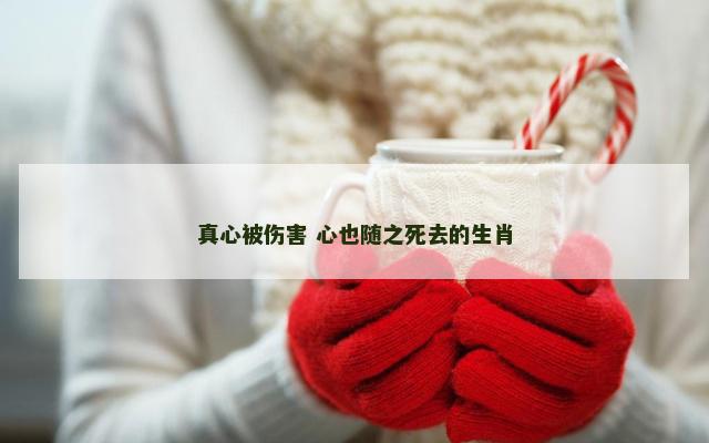 真心被伤害 心也随之死去的生肖