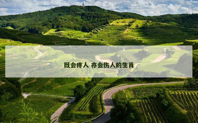 既会疼人 亦会伤人的生肖