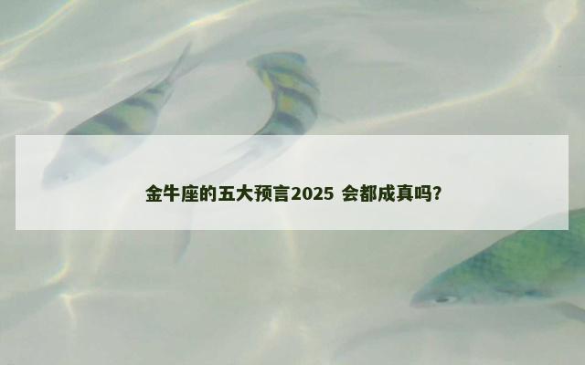 金牛座的五大预言2025 会都成真吗？