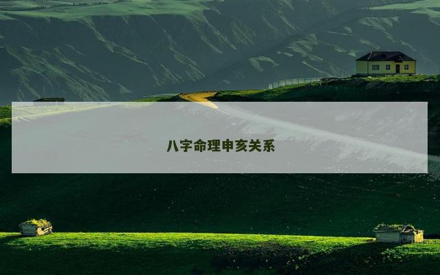 八字命理申亥关系