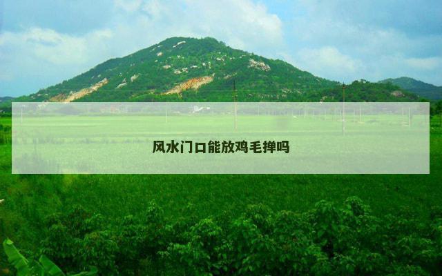 风水门口能放鸡毛掸吗
