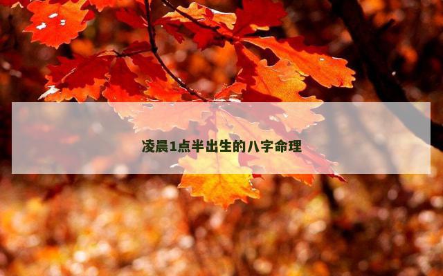 凌晨1点半出生的八字命理