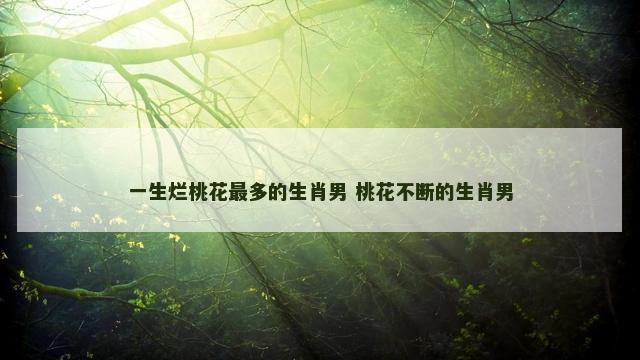 一生烂桃花最多的生肖男 桃花不断的生肖男