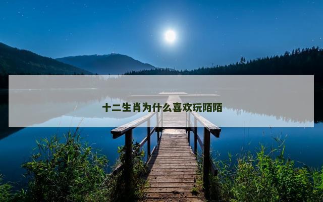 十二生肖为什么喜欢玩陌陌
