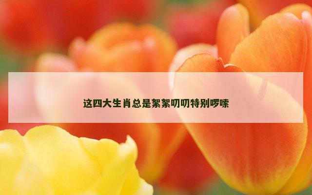 这四大生肖总是絮絮叨叨特别啰嗦