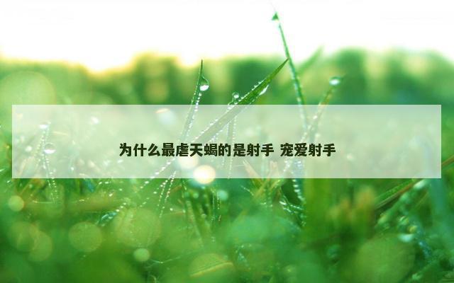 为什么最虐天蝎的是射手 宠爱射手