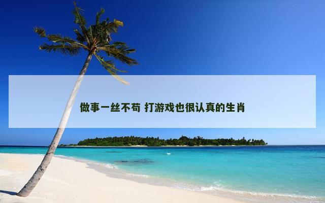 做事一丝不苟 打游戏也很认真的生肖