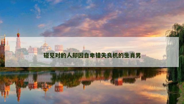 碰见对的人却因自卑错失良机的生肖男