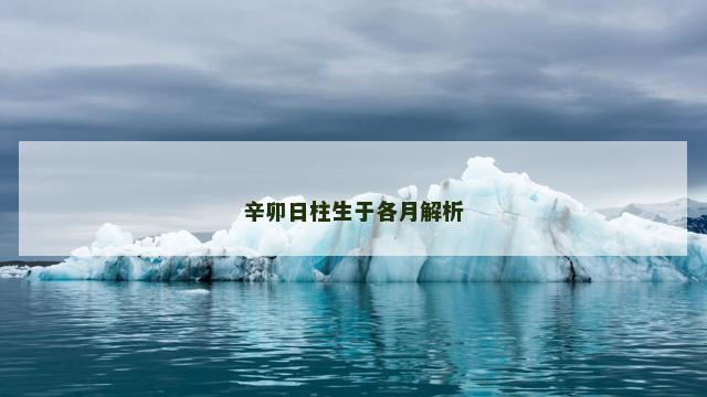 辛卯日柱生于各月解析