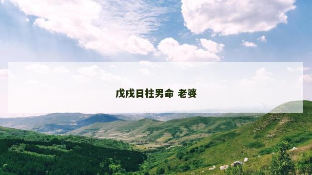戊戌日柱男命 老婆