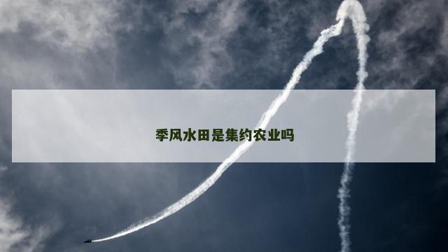季风水田是集约农业吗