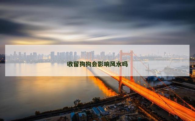 收留狗狗会影响风水吗