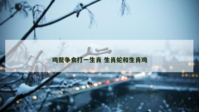 鸡鹜争食打一生肖 生肖蛇和生肖鸡