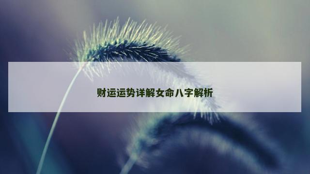 财运运势详解女命八字解析